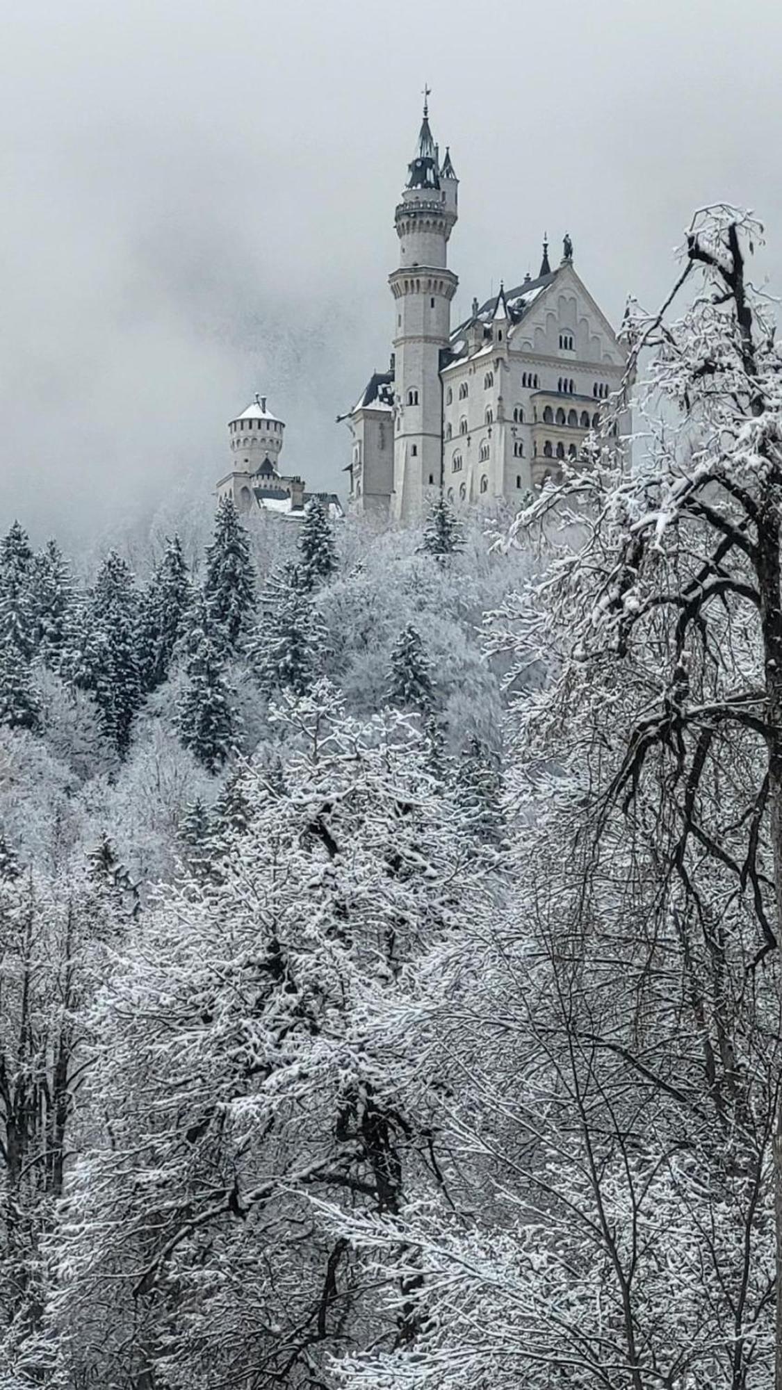 House La Neuschwanstein Blick - Budget City Hotel Füssen Eksteriør billede